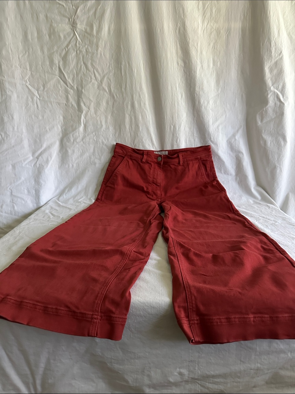 Everlane Deep Brick Red Wide-Leg Trousers Pants size 12